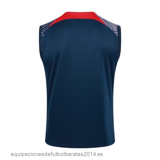 Nuevo Entrenamiento Sin Mangas Paris Saint Germain 23/24 Azul Rojo Purpura Baratas